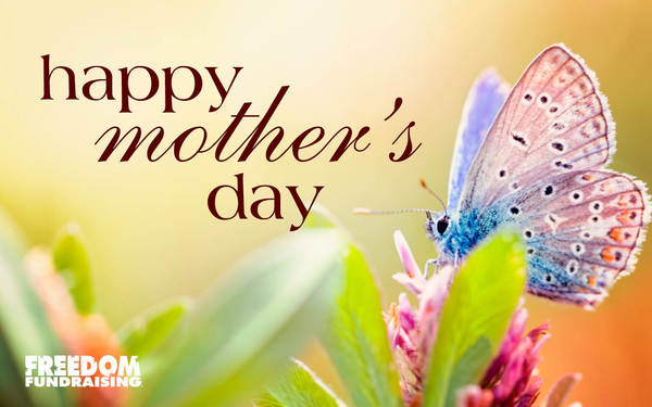 Mother's day butterfly